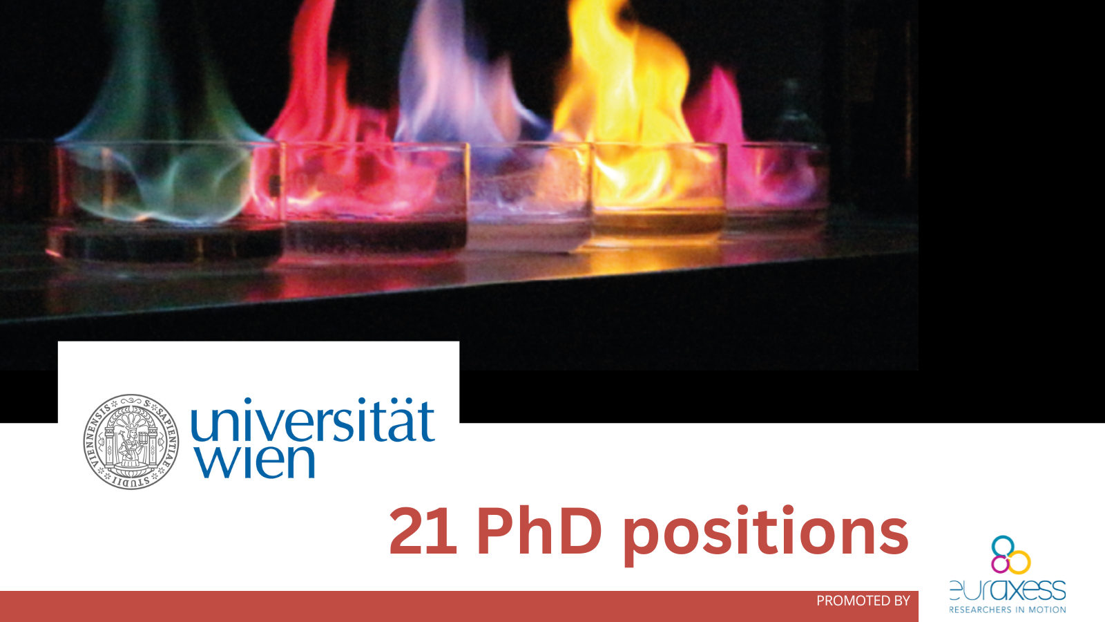 university of vienna phd positions